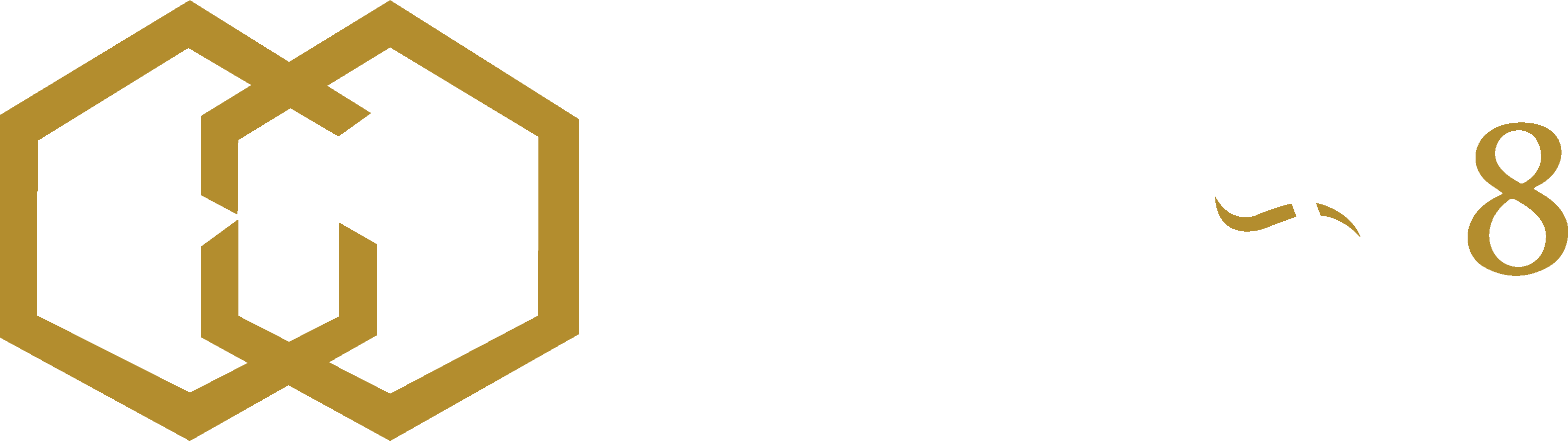 GLOBAL8 Logo